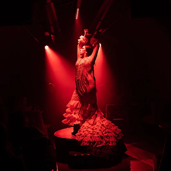 Spectacle de flamenco avec dîner ou boissons à La Carmela