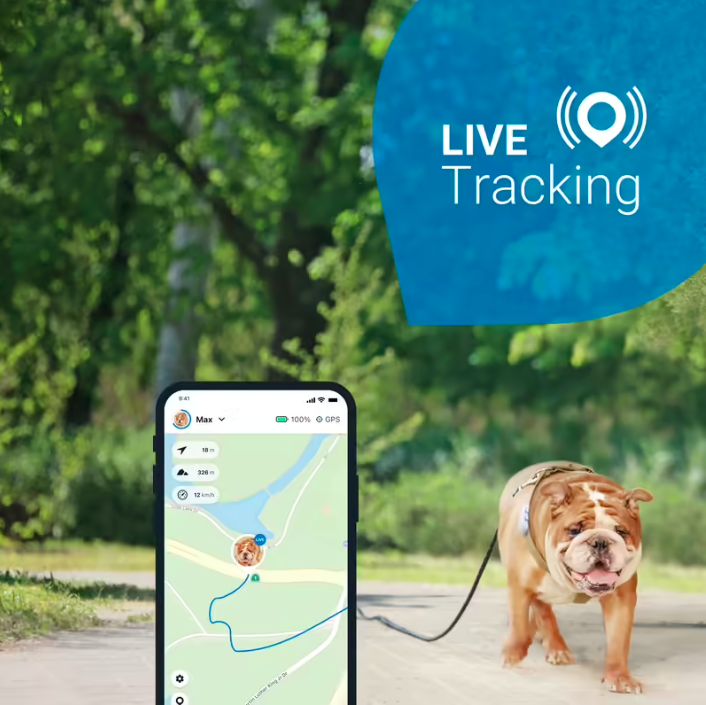 Tracker pour chien avec suivi d'activité Tractive GPS DOG 4 Blanc. Gardez un œil sur votre chien en temps réel 24h/24 et gardez-le en forme avec ce collier GPS pour chien.