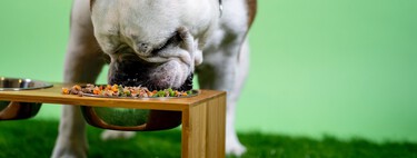 Carrefour a la mangeoire pour chiens préférée des vétérinaires