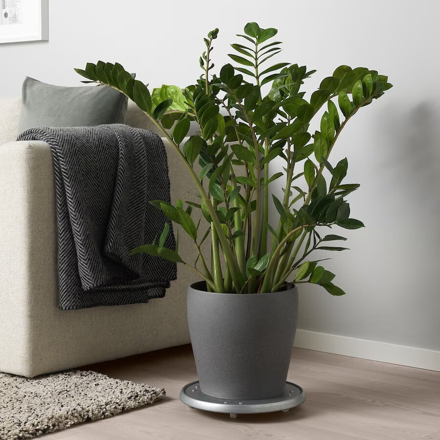 PERSILLADE: pot de fleurs, gris foncé, 24 cm
