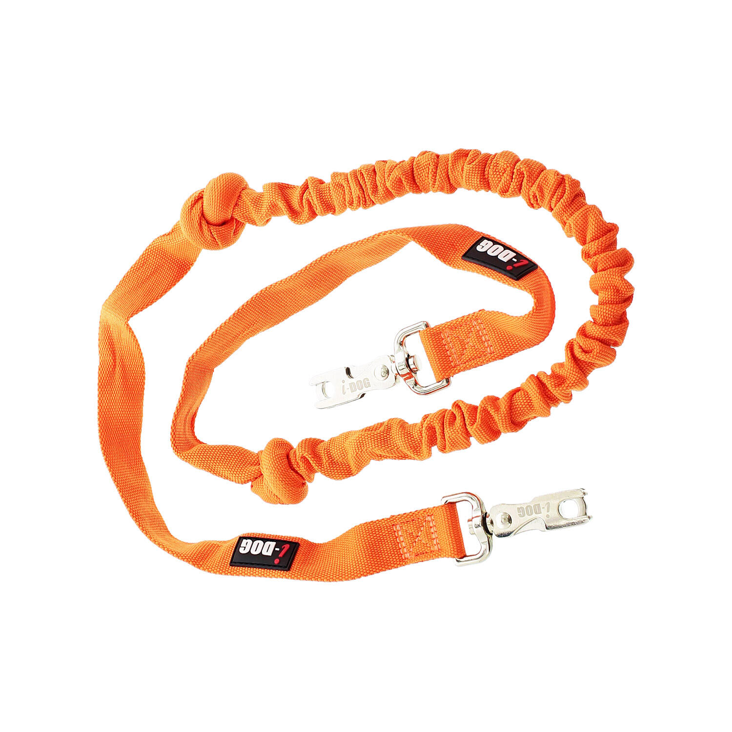 ceinture de course pour chien